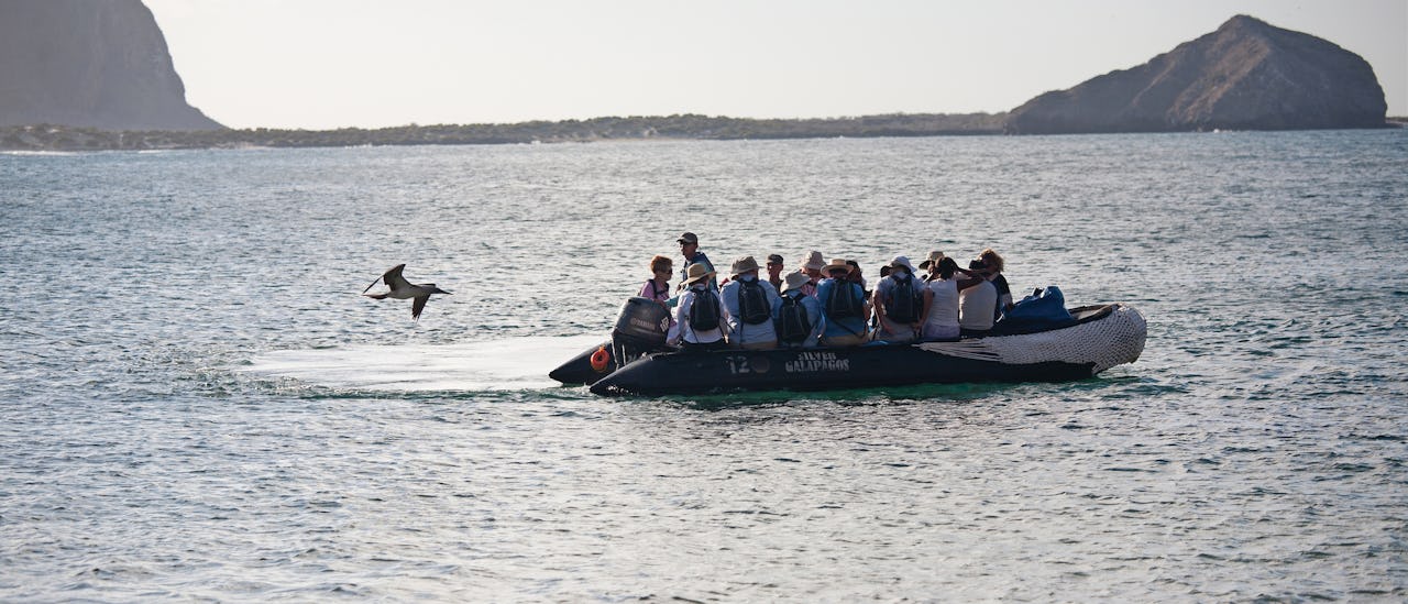 Zodiak boats zodiac boats take you on adventures