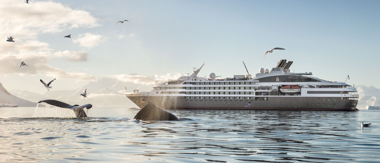 L' Austral is equipped with a reinforced hull suitable for exhibition cruises to Antartica, Svalbard and other exotic destinations