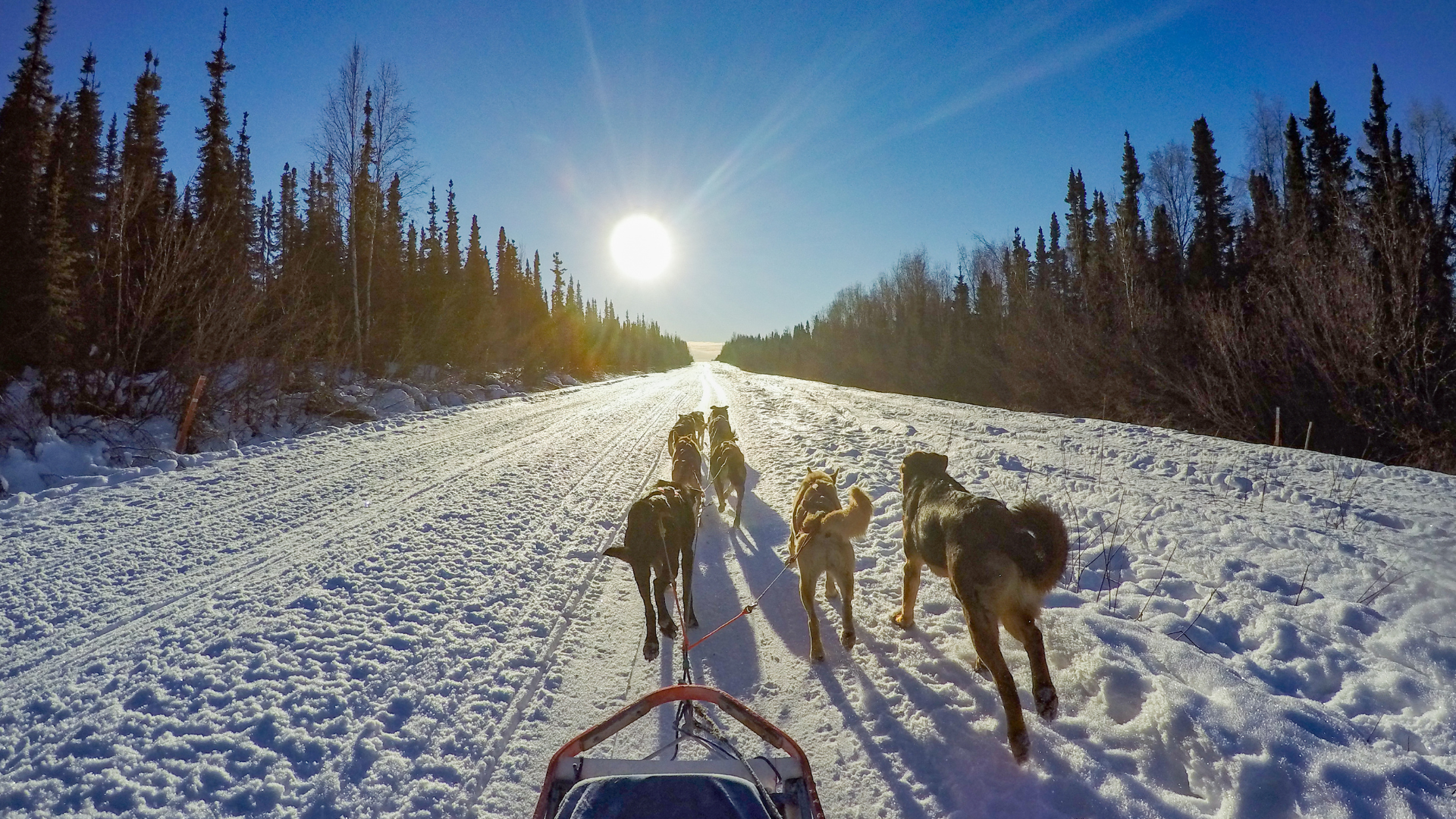 Alaskan jäätiköt ja luonto