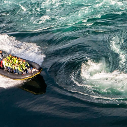 Saltströmmen ja merikotkasafari